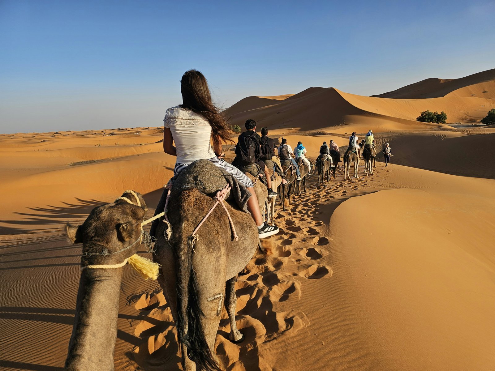Erg Chebbi Sahara desert golden dunes at sunrise, Merzouga Morocco — camel trek in foreground