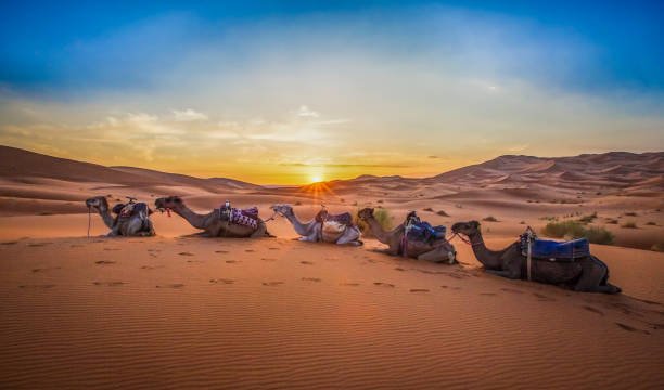 Merzouga Erg Chebbi desert dunes Morocco 4 day tour